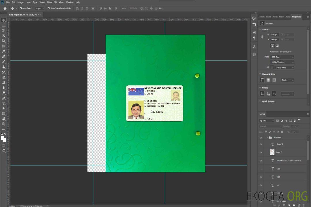 Permis de conduire vert néo-zélandais (pleinement qualifié) photolook AVANT template